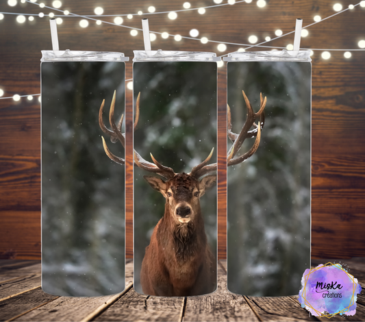Buck d'hiver