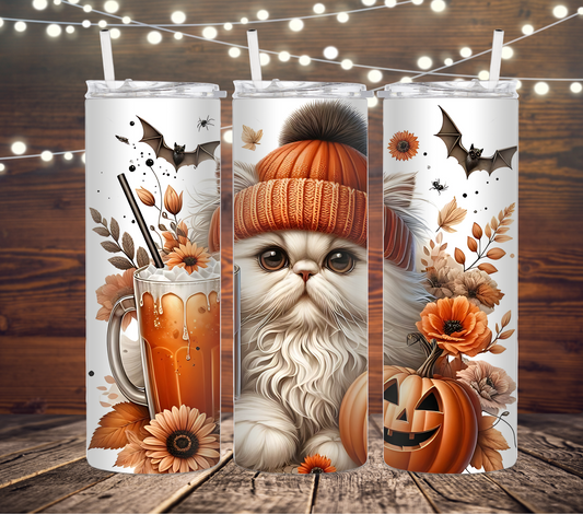 Chat Halloween