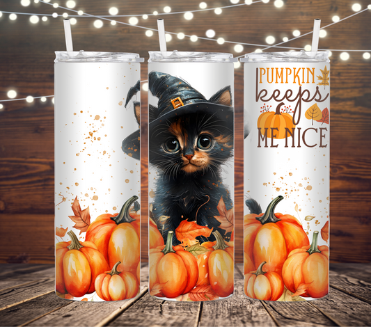 Chat noir Halloween