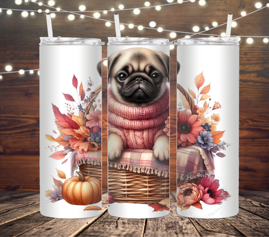 Chien Pug