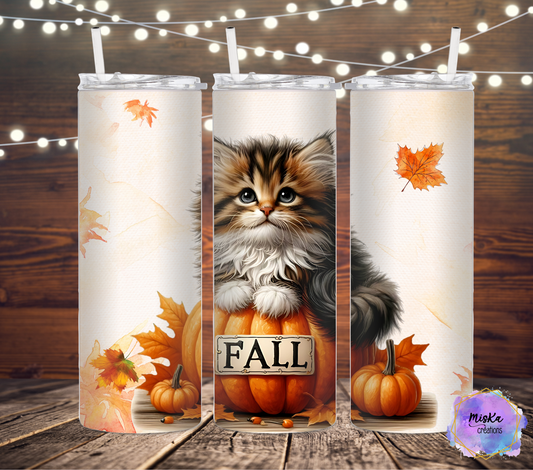 Chaton d'Automne